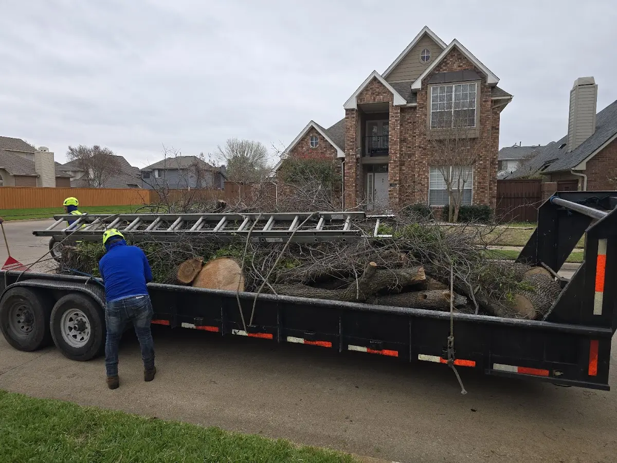 Expert Tree Removal with proper safety equipment in Duluth